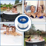 Aqua Spirit 2 Pack Hot Tub Replacement Antibacterial Filter Cartridges for Hot Tub Cleaning and Maintenance - Packed Direct UK